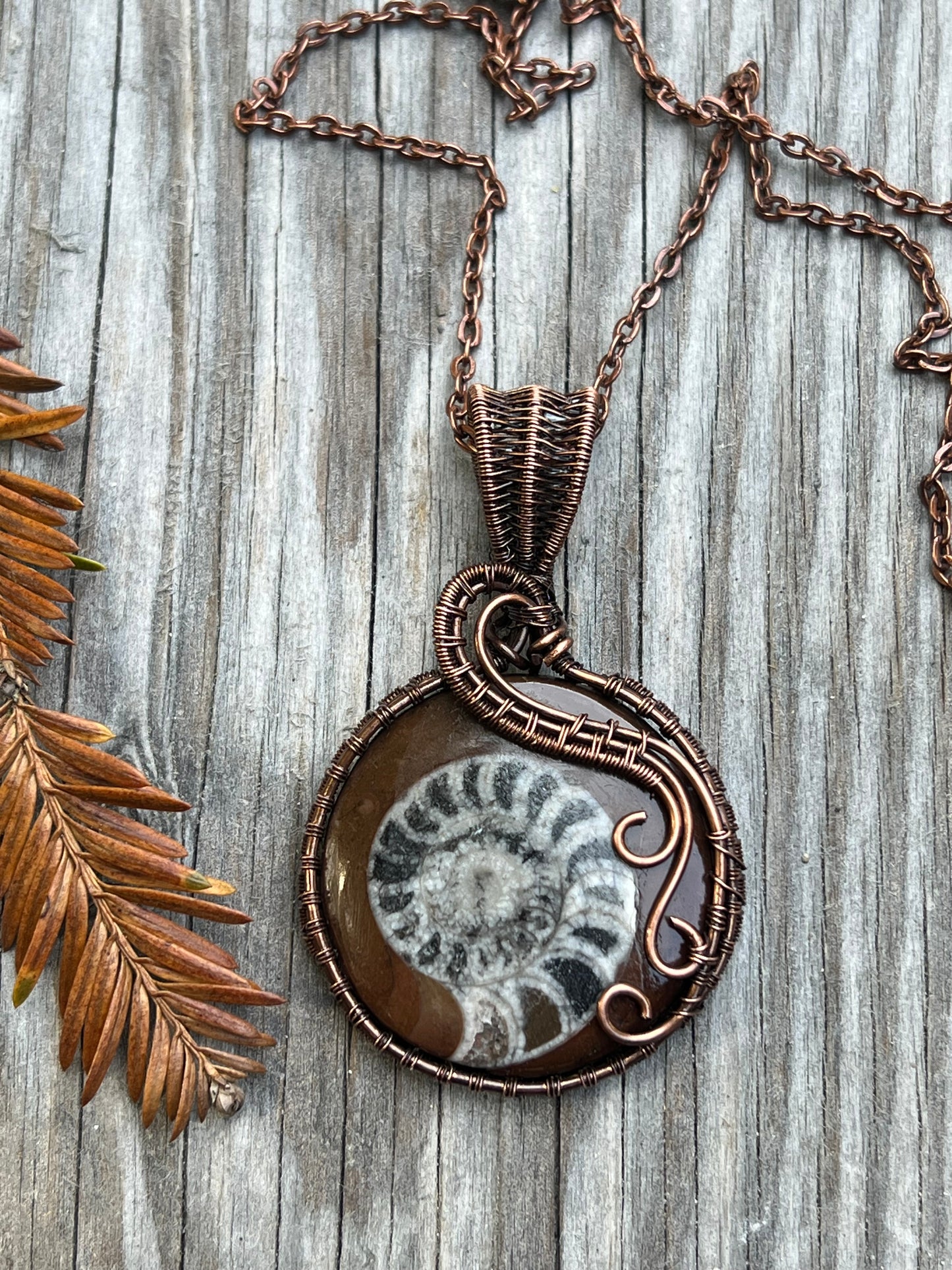 Ammonite Fossil Pendant