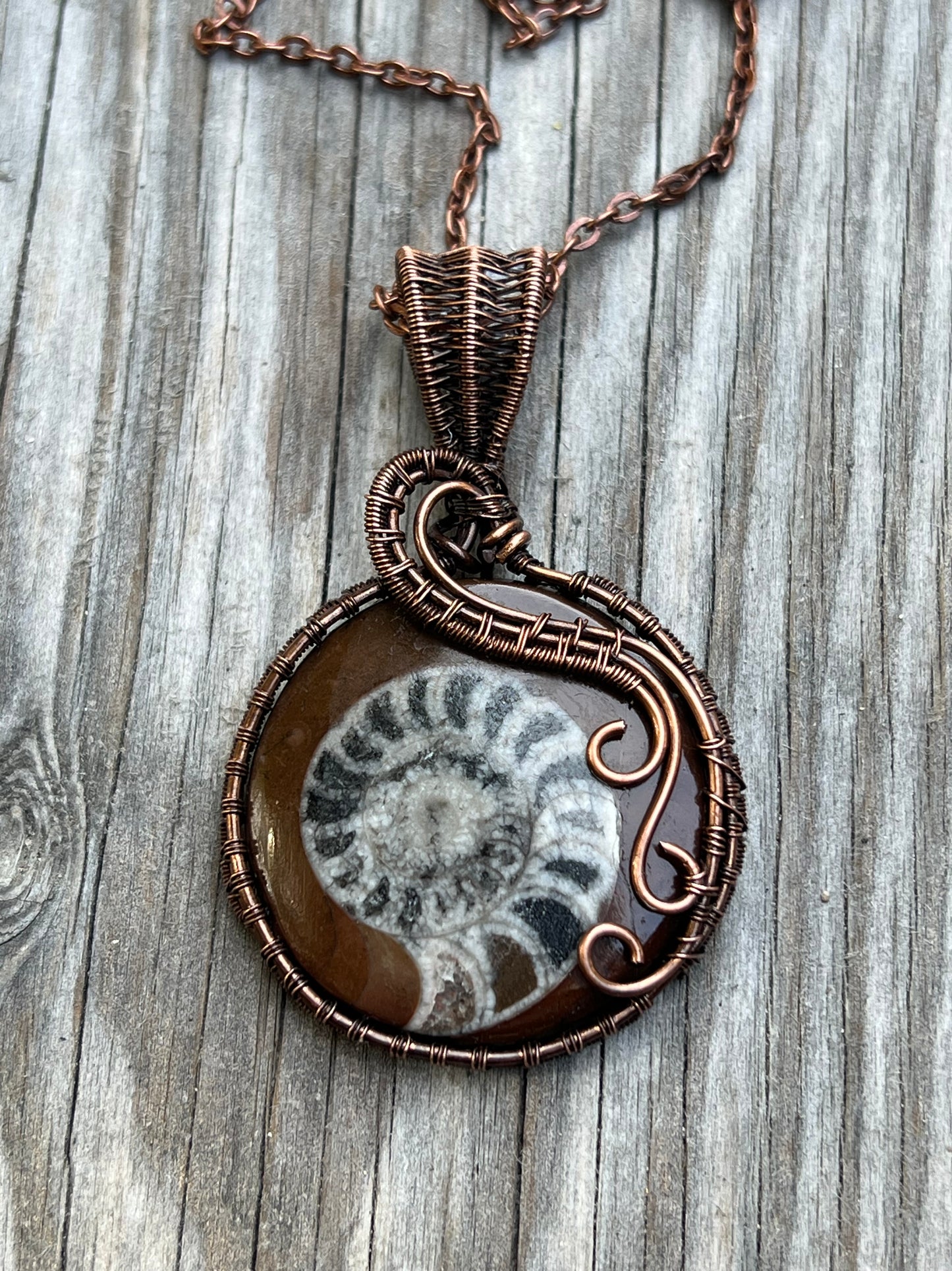 Ammonite Fossil Pendant